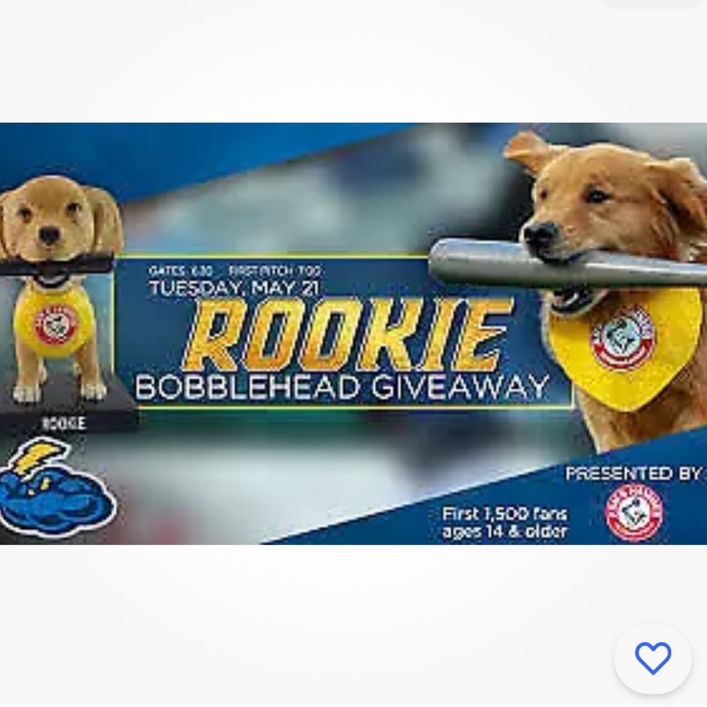 Yankees Trenton Thunder Baseball bobblehead Rookie